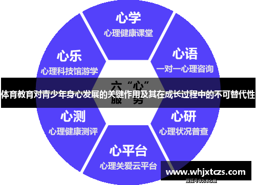 体育教育对青少年身心发展的关键作用及其在成长过程中的不可替代性