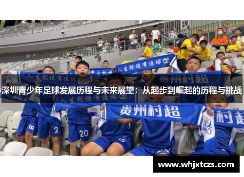 深圳青少年足球发展历程与未来展望：从起步到崛起的历程与挑战