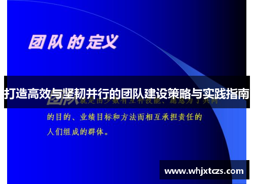 打造高效与坚韧并行的团队建设策略与实践指南
