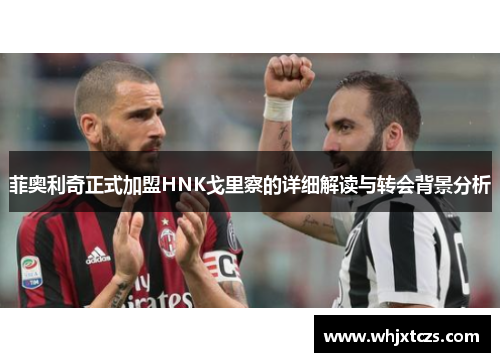 菲奥利奇正式加盟HNK戈里察的详细解读与转会背景分析